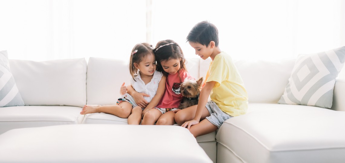 Family-Proof Furnishing: The Best Sofa Materials for Kids缩略图