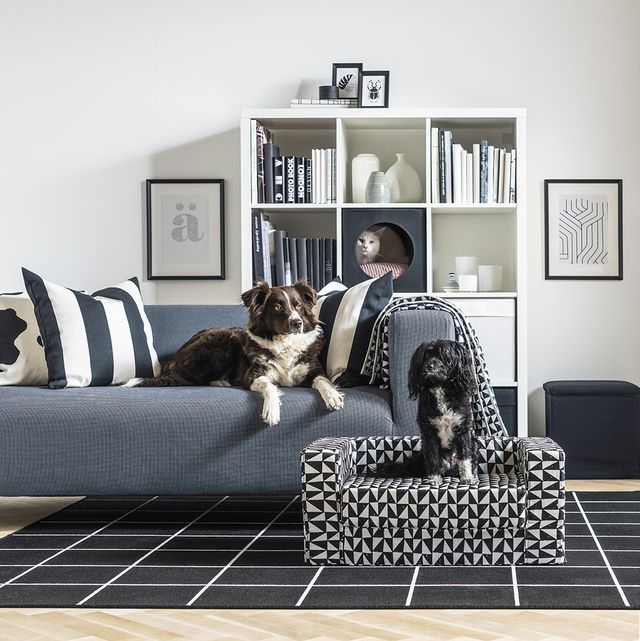 best sofa material for dogs